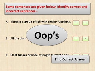 Some sentences are given below. Identify correct and
incorrect sentences -
A. Tissue is a group of cell with similar functions.
B. All the plant tissue are made of live cells.
C. Plant tissues provide strength to plant body
T F
T
F
F
T
Oop’s
Find Correct Answer
 