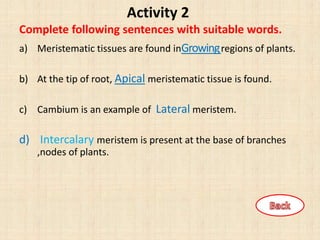 Activity 2
Complete following sentences with suitable words.
a) Meristematic tissues are found inGrowingregions of plants.
b) At the tip of root, Apical meristematic tissue is found.
c) Cambium is an example of Lateral meristem.
d) Intercalary meristem is present at the base of branches
,nodes of plants.
 