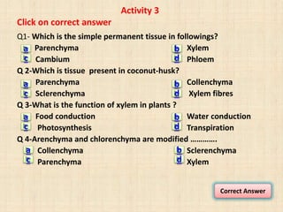 Activity 3
Click on correct answer
Q1- Which is the simple permanent tissue in followings?
Parenchyma Xylem
Cambium Phloem
Q 2-Which is tissue present in coconut-husk?
Parenchyma Collenchyma
Sclerenchyma Xylem fibres
Q 3-What is the function of xylem in plants ?
Food conduction Water conduction
Photosynthesis Transpiration
Q 4-Arenchyma and chlorenchyma are modified ………….
Collenchyma Sclerenchyma
Parenchyma Xylem
a
c
b
d
a
c
b
d
a
c
b
d
a
c
b
d
Correct Answer
 