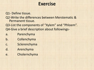 Exercise
Q1- Define tissue.
Q2-Write the differences between Merstematic &
Permanent tissue.
Q3-List the components of “Xylem” and “Phloem”.
Q4-Give a brief description about followings-
a. Parenchyma
b. Collenchyma
c. Sclerenchyma
d. Arenchyma
e. Cholernchyma
 