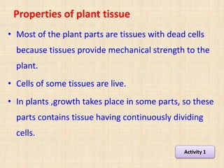 Properties of plant tissue
• Most of the plant parts are tissues with dead cells
because tissues provide mechanical strength to the
plant.
• Cells of some tissues are live.
• In plants ,growth takes place in some parts, so these
parts contains tissue having continuously dividing
cells.
Activity 1
 