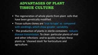 Plant tissue culture in crop Improvement | PPTX