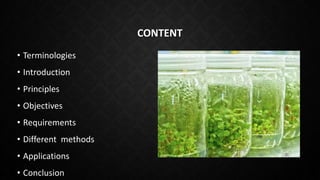 Plant tissue culture in crop Improvement | PPTX