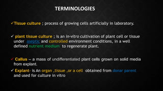 Plant tissue culture in crop Improvement | PPTX