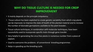 Plant tissue culture in crop Improvement | PPTX