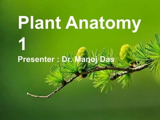 Plant Anatomy
1
Presenter : Dr. Manoj Das
 