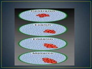 Plant tissue 2 | PPTX