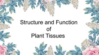 Structure and Function
of
Plant Tissues
 