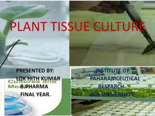 PLANT TISSUE CULTURE

PRESENTED BY:      INSTITUTE OF
LOK HITH KUMAR   PAHARAMCEUTICAL
 B.PHARMA           RESEARCH
 FINAL YEAR.     GLA UNIVERSIYTY.
 