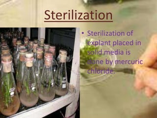 Sterilization
       • Sterilization of
         explant placed in
         solid media is
         done by mercuric
     ...