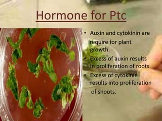 Hormone for Ptc
       • Auxin and cytokinin are
         require for plant
         growth.
       • Excess of auxin resu...