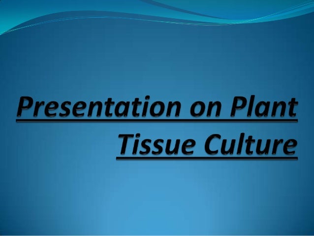 Plant Tissue Culture
