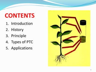 Plant tissue culture | PPTX