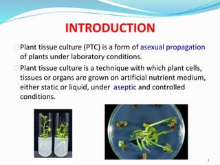 Plant tissue culture | PPTX