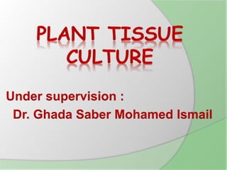 Under supervision :
Dr. Ghada Saber Mohamed Ismail
 