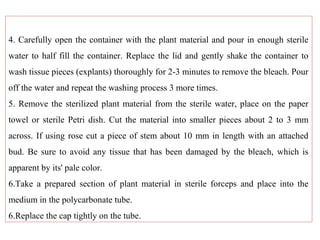 4. Carefully open the container with the plant material and pour in enough sterile
water to half fill the container. Replace the lid and gently shake the container to
wash tissue pieces (explants) thoroughly for 2-3 minutes to remove the bleach. Pour
off the water and repeat the washing process 3 more times.
5. Remove the sterilized plant material from the sterile water, place on the paper
towel or sterile Petri dish. Cut the material into smaller pieces about 2 to 3 mm
across. If using rose cut a piece of stem about 10 mm in length with an attached
bud. Be sure to avoid any tissue that has been damaged by the bleach, which is
apparent by its' pale color.
6.Take a prepared section of plant material in sterile forceps and place into the
medium in the polycarbonate tube.
6.Replace the cap tightly on the tube.
 
