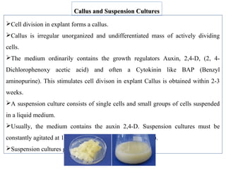 Cell division in explant forms a callus.
Callus is irregular unorganized and undifferentiated mass of actively dividing
cells.
The medium ordinarily contains the growth regulators Auxin, 2,4-D, (2, 4-
Dichlorophenoxy acetic acid) and often a Cytokinin like BAP (Benzyl
aminopurine). This stimulates cell divison in explant Callus is obtained within 2-3
weeks.
A suspension culture consists of single cells and small groups of cells suspended
in a liquid medium.
Usually, the medium contains the auxin 2,4-D. Suspension cultures must be
constantly agitated at 100-250 rpm (revolutions per minute).
Suspension cultures grow much faster than callus culture.
Callus and Suspension CulturesCallus and Suspension Cultures
 