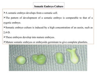 A somatic embryo develops from a somatic cell.
The pattern of development of a somatic embryo is comparable to that of a
zygotic embryo.
Somatic embryo culture is induced by a high concentration of an auxin, such as
2,4-D.
These embryos develop into mature embryos.
Mature somatic embryos or embryoids germinate to give complete plantlets.
Somatic Embryo CultureSomatic Embryo Culture
 