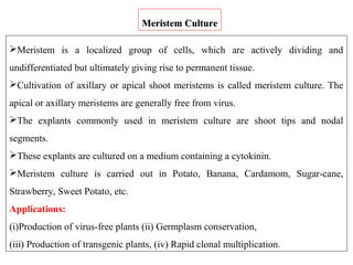 Meristem is a localized group of cells, which are actively dividing and
undifferentiated but ultimately giving rise to permanent tissue.
Cultivation of axillary or apical shoot meristems is called meristem culture. The
apical or axillary meristems are generally free from virus.
The explants commonly used in meristem culture are shoot tips and nodal
segments.
These explants are cultured on a medium containing a cytokinin.
Meristem culture is carried out in Potato, Banana, Cardamom, Sugar-cane,
Strawberry, Sweet Potato, etc.
Applications:
(i)Production of virus-free plants (ii) Germplasm conservation,
(iii) Production of transgenic plants, (iv) Rapid clonal multiplication.
Meristem CultureMeristem Culture
 