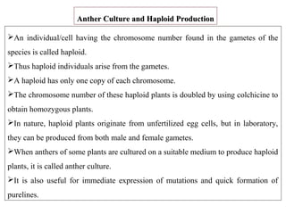 An individual/cell having the chromosome number found in the gametes of the
species is called haploid.
Thus haploid individuals arise from the gametes.
A haploid has only one copy of each chromosome.
The chromosome number of these haploid plants is doubled by using colchicine to
obtain homozygous plants.
In nature, haploid plants originate from unfertilized egg cells, but in laboratory,
they can be produced from both male and female gametes.
When anthers of some plants are cultured on a suitable medium to produce haploid
plants, it is called anther culture.
It is also useful for immediate expression of mutations and quick formation of
purelines.
Anther Culture and Haploid ProductionAnther Culture and Haploid Production
 