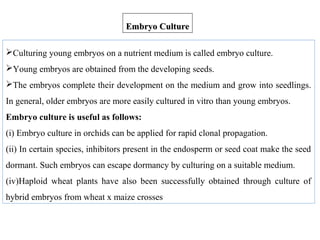 Culturing young embryos on a nutrient medium is called embryo culture.
Young embryos are obtained from the developing seeds.
The embryos complete their development on the medium and grow into seedlings.
In general, older embryos are more easily cultured in vitro than young embryos.
Embryo culture is useful as follows:
(i) Embryo culture in orchids can be applied for rapid clonal propagation.
(ii) In certain species, inhibitors present in the endosperm or seed coat make the seed
dormant. Such embryos can escape dormancy by culturing on a suitable medium.
(iv)Haploid wheat plants have also been successfully obtained through culture of
hybrid embryos from wheat x maize crosses
Embryo CultureEmbryo Culture
 