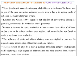 Taxol (plaxitaxol), a complex diterpene alkaloid found in the bark of the Taxus tree,
is one of the most promising anticancer agents known due to its unique mode of
action on the micro tubular cell system.
Ketchum and Gibson (1996) reported that addition of carbohydrate during the
growth cycle increased the production rate of paclitaxel,
In order to increase the taxoid production in these cultures, the addition of different
amino acids to the culture medium were studied, and phenylalanine was found to
assist in maximum taxol production
The influence of biotic and abiotic elicitors was also studied to improve the
production and accumulation of taxol through tissue cultures
The production of taxol from nodule cultures containing cohesive multicultural
units displaying a high degree of differentiation has been achieved from cultured
needles of seven Taxus cultivars
PRODUCTION OF SECONDARY METABOLITES BY PLANT TISSUE CULTURE (PTC)
 