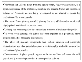 Morphine and Codeine Latex from the opium poppy, Papaver somniferum, is a
commercial source of the analgesics, morphine and codeine. Callus and suspension
cultures of P.somniferum are being investigated as an alternative means for
production of these compounds.
The root of Panax ginseng so-called ginseng, has been widely used as a tonic and
highly prized medicine since ancient times.
Ginseng has been recognized as a miraculous promoter of health and longevity.
In recent years ginseng cell culture has been explored as a potentially more
efficient method of producing ginsenosides.
The effect of medium components like carbon, nitrogen and phosphate
concentrations and plant growth hormones were thoroughly studied to increase the
production of ginsenosides
Concentration of plant growth regulators in the medium influences the cell
growth and ginsenoside production in the suspension cultures
 