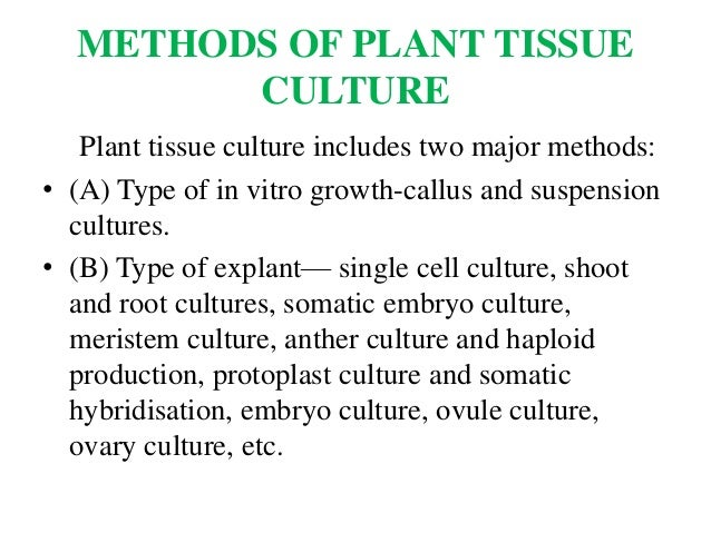 free Human Exploitation and Biodiversity Conservation (Topics in Biodiversity and Conservation) 2007