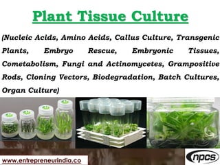www.entrepreneurindia.co
Plant Tissue Culture
(Nucleic Acids, Amino Acids, Callus Culture, Transgenic
Plants, Embryo Rescu...
