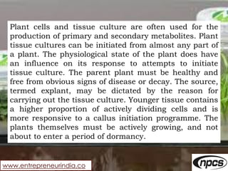 www.entrepreneurindia.co
Plant cells and tissue culture are often used for the
production of primary and secondary metabol...