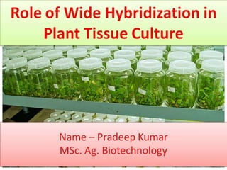 Plant tissue culture, Biotechnology