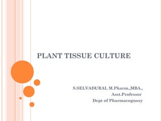 PLANT TISSUE CULTURE
S.SELVADURAI, M.Pharm.,MBA.,
Asst.Professor
Dept of Pharmacognosy
 