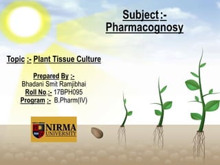 Topic :- Plant Tissue Culture
Prepared By :-
Bhadani Smit Ramjibhai
Roll No.:- 17BPH095
Program :- B.Pharm(IV)
Subject:-
Pharmacognosy
 