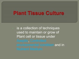 Plant tissue culture | PPTX