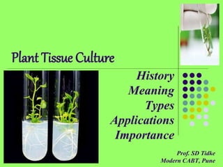 Plant Tissue Culture
History
Meaning
Types
Applications
Importance
Prof. SD Tidke
Modern CABT, Pune
 