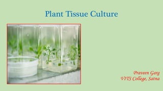 Praveen Garg
VITS College, Satna
Plant Tissue Culture
 