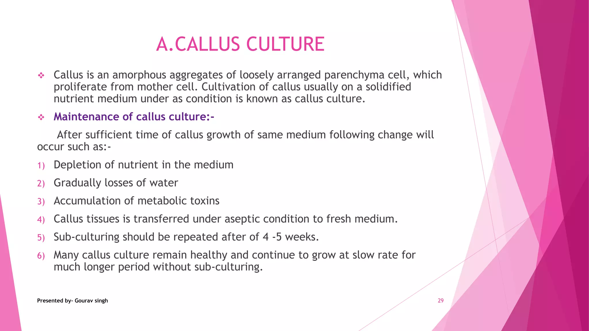 Plant tissue culture | PPTX