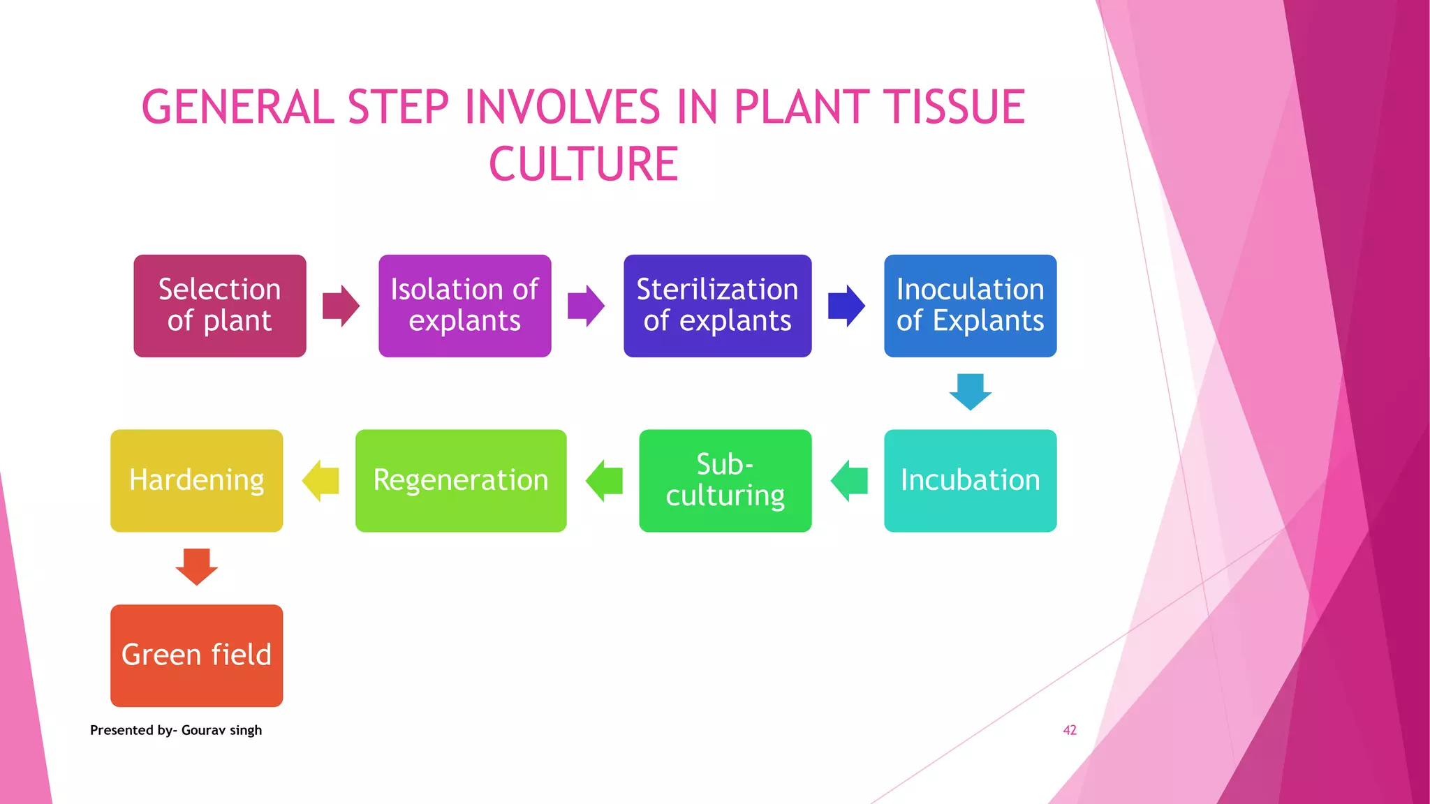 Plant tissue culture | PPTX