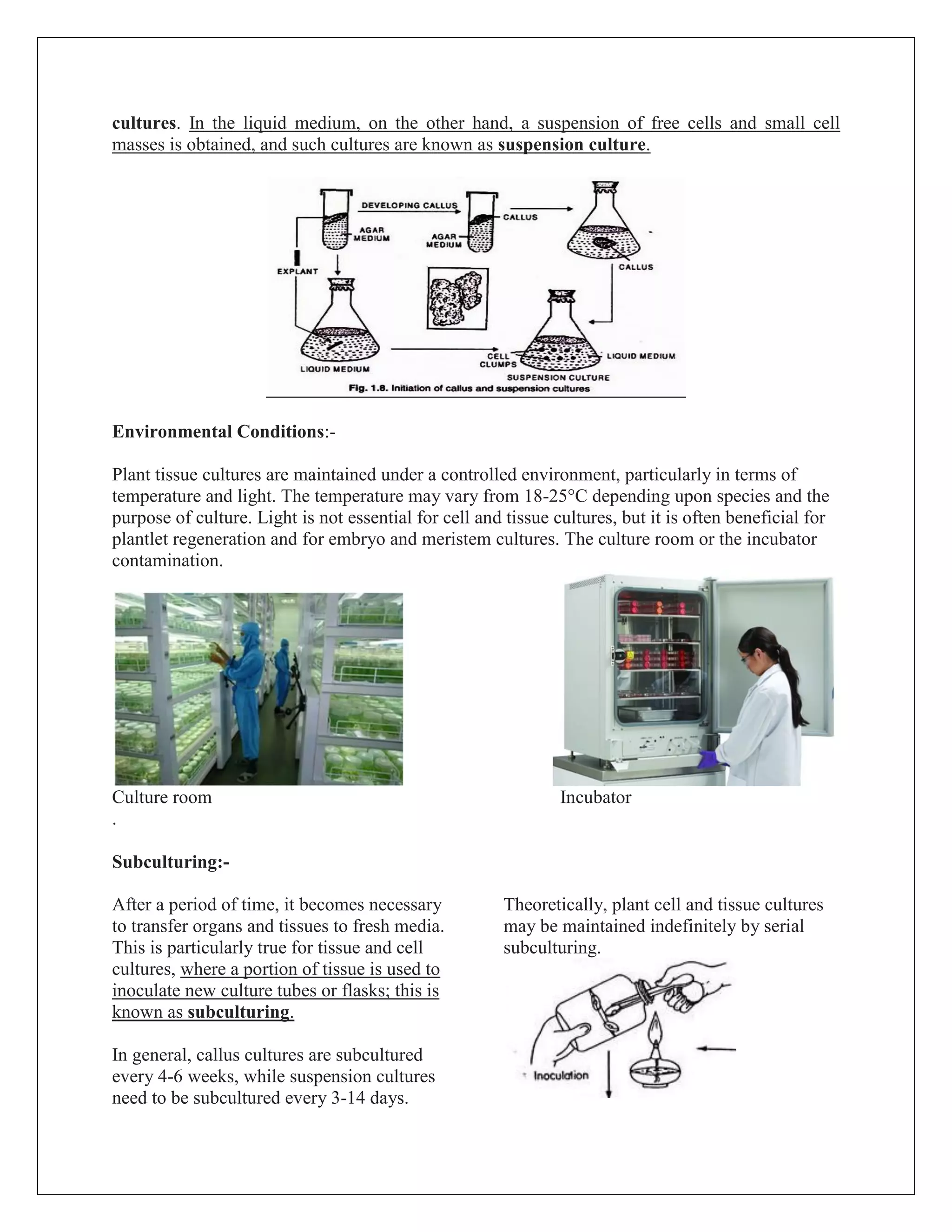 Plant tissue culture | PDF