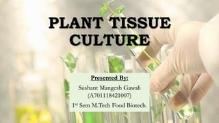 PLANT TISSUE
CULTURE
Presented By:
Sushant Mangesh Gawali
(A701118421007)
1st Sem M.Tech Food Biotech.
 