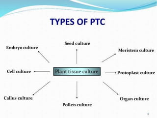 Difference in PTC& Animal culture
 It grow on at specific temperature i.e. normal
temperature for human is 37°c.
 Carbon...