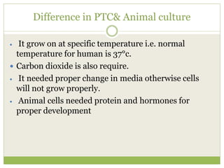 plant tissue culture.pptx