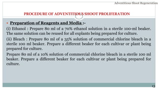 PROCEDUREOF ADVENTITIOUSSHOOTPROLIFERATION
 Preparation of Reagents and Media :-
(i) Ethanol : Prepare 80 ml of a 70% ethanol solution in a sterile 100-ml beaker.
The same solution can be reused for all explants being prepared for culture.
(ii) Bleach : Prepare 80 ml of a 35% solution of commercial chlorine bleach in a
sterile 100 ml beaker. Prepare a different beaker for each cultivar or plant being
prepared for culture.
Prepare 80 ml of a 10% solution of commercial chlorine bleach in a sterile 100 ml
beaker. Prepare a different beaker for each cultivar or plant being prepared for
culture.
Adventitious Shoot Regeneration…
13
 