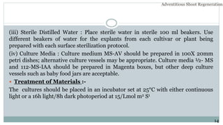 (iii) Sterile Distilled Water : Place sterile water in sterile 100 ml beakers. Use
different beakers of water for the explants from each cultivar or plant being
prepared with each surface sterilization protocol.
(iv) Culture Media : Culture medium MS-AV should be prepared in 100X 20mm
petri dishes; alternative culture vessels may be appropriate. Culture media ½- MS
and 112-MS-IAA should be prepared in Magenta boxes, but other deep culture
vessels such as baby food jars are acceptable.
 Treatment of Materials :-
The cultures should be placed in an incubator set at 25°C with either continuous
light or a 16h light/8h dark photoperiod at 15/Lmol m2 S1
Adventitious Shoot Regeneration…
14
 