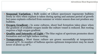  Seasonal Variation : Bulb scales of Lilium speciosum regenerate bulblets
freely in vitro when explant is taken during spring and autumn period of growth
but same explants collected from summer or winter season does not produce any
bulblets.
 Oxygen Gradient : In some cultures, shoot bud formation takes place when
the gradient of available oxygen inside the culture vessel is reduced. But rooting
requires a high oxygen gradient.
 Quality and Intensity of Light : The blue region of spectrum promotes shoot
formation and red light induce rooting.
 Temperature : Most tissue culture are grown successfully at temperature
around 25°C. In number of bulbous species optimum temperature may be much
lower of about 15-18°C.
Adventitious Shoot Regeneration…
21
 
