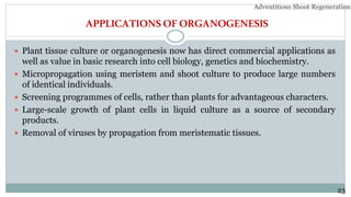 APPLICATIONSOFORGANOGENESIS
 Plant tissue culture or organogenesis now has direct commercial applications as
well as value in basic research into cell biology, genetics and biochemistry.
 Micropropagation using meristem and shoot culture to produce large numbers
of identical individuals.
 Screening programmes of cells, rather than plants for advantageous characters.
 Large-scale growth of plant cells in liquid culture as a source of secondary
products.
 Removal of viruses by propagation from meristematic tissues.
23
Adventitious Shoot Regeneration…
 
