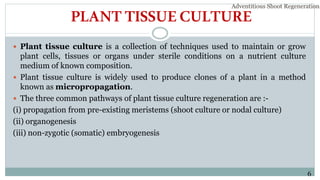 PLANTTISSUECULTURE
 Plant tissue culture is a collection of techniques used to maintain or grow
plant cells, tissues or organs under sterile conditions on a nutrient culture
medium of known composition.
 Plant tissue culture is widely used to produce clones of a plant in a method
known as micropropagation.
 The three common pathways of plant tissue culture regeneration are :-
(i) propagation from pre-existing meristems (shoot culture or nodal culture)
(ii) organogenesis
(iii) non-zygotic (somatic) embryogenesis
6
Adventitious Shoot Regeneration…
 