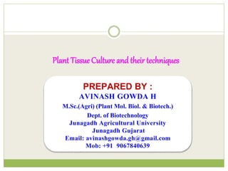 Plant Tissue Culture and their techniques
PREPARED BY :
AVINASH GOWDA H
M.Sc.(Agri) (Plant Mol. Biol. & Biotech.)
Dept. of Biotechnology
Junagadh Agricultural University
Junagadh Gujarat
Email: avinashgowda.gh@gmail.com
Mob: +91 9067840639
 