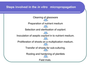 Plant tissue culture | PPT
