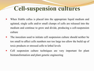 Cell-suspension cultures
 When friable callus is placed into the appropriate liquid medium and
agitated, single cells and/or small clumps of cells are released into the
medium and continue to grow and divide, producing a cell-suspension
culture
 The inoculum used to initiate cell suspension culture should neither be
too small to affect cells numbers nor too large too allow the build up of
toxic products or stressed cells to lethal levels
 Cell suspension culture techniques are very important for plant
biotransformation and plant genetic engineering
 